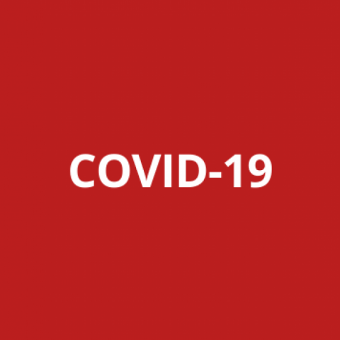 Confinement Violation Des Principes De Legalite Des Delits Et Des Peines Et De Presomption D Innoncence Renvoi Devant Le Conseil Constitutionnel 2 Arrets Qpc Du 13 Mai Cas Crim N Et